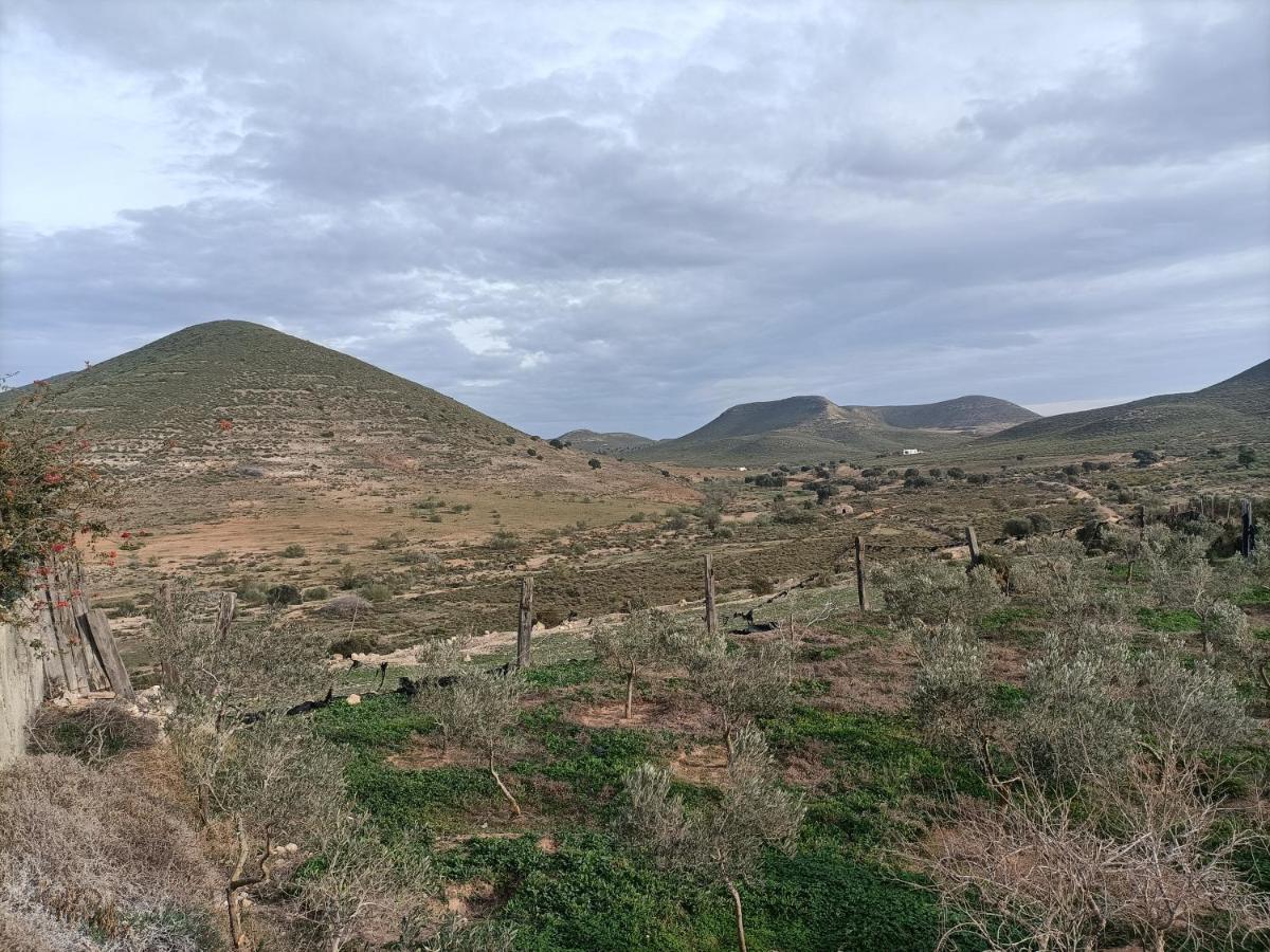 Cortijo Jayon Fernan Perez Exterior foto